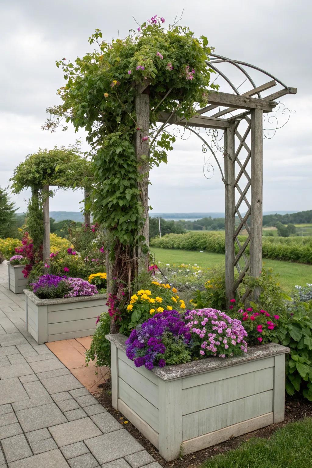 A vibrant arbor with beautiful planter boxes filled with blooms.