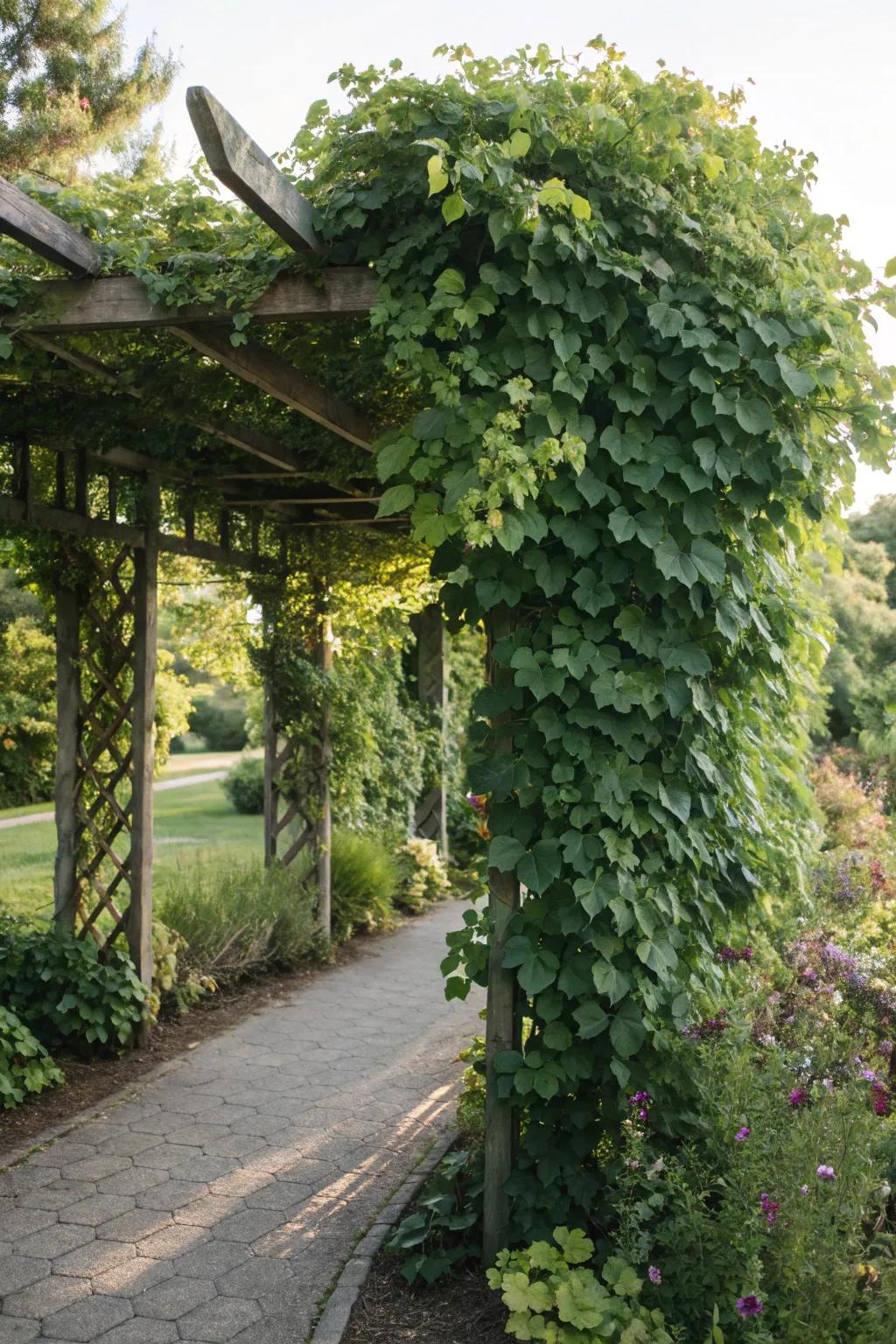 A living wall trellis provides privacy and a lush green backdrop.