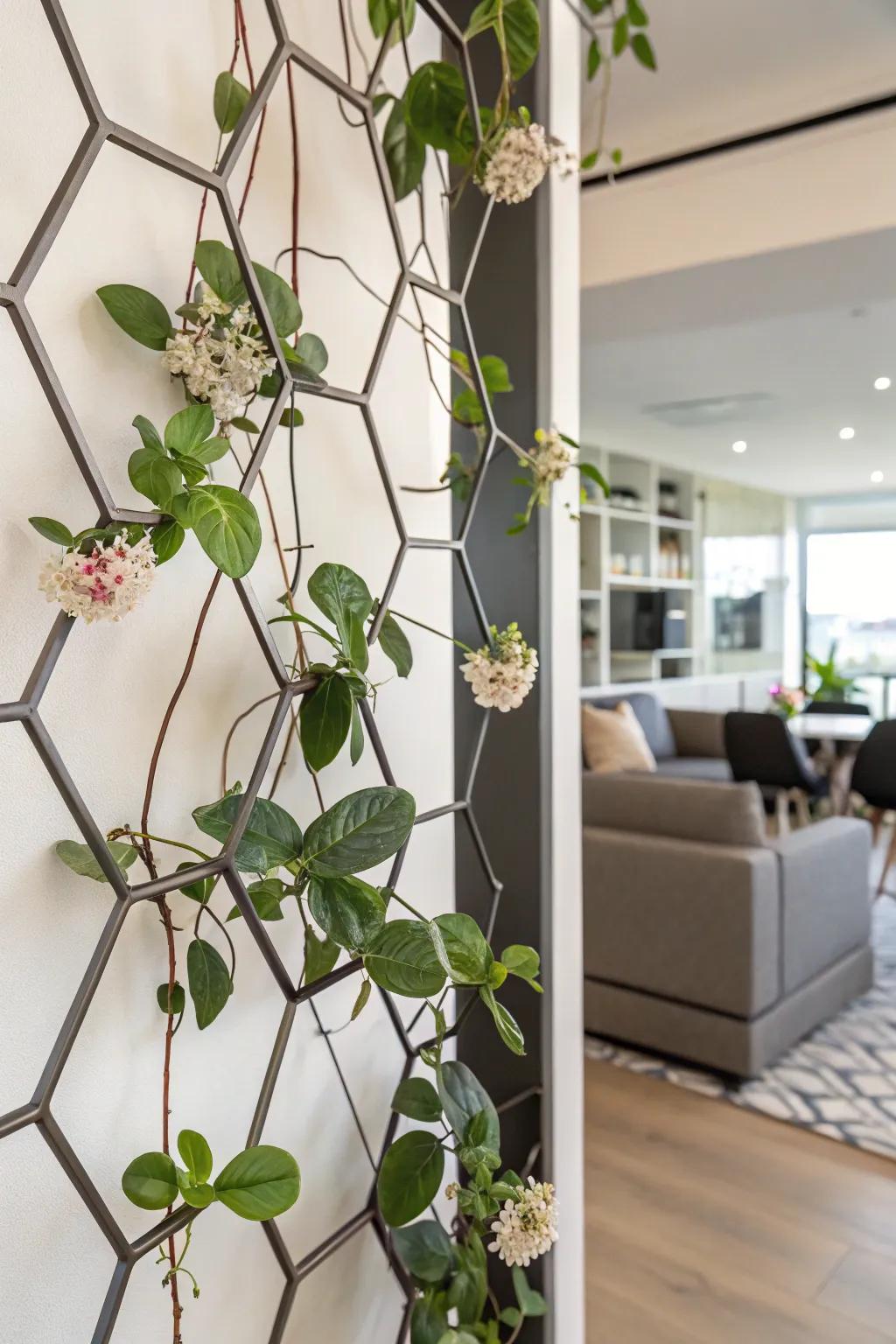 A chic urban apartment with a Hoya plant on hexagonal trellises.